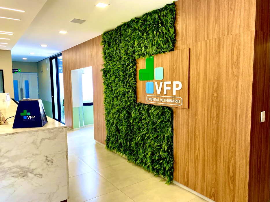 Araraquara VFP