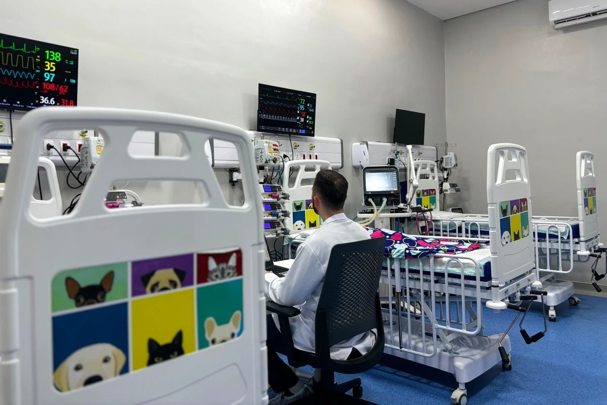 Hospital VFP