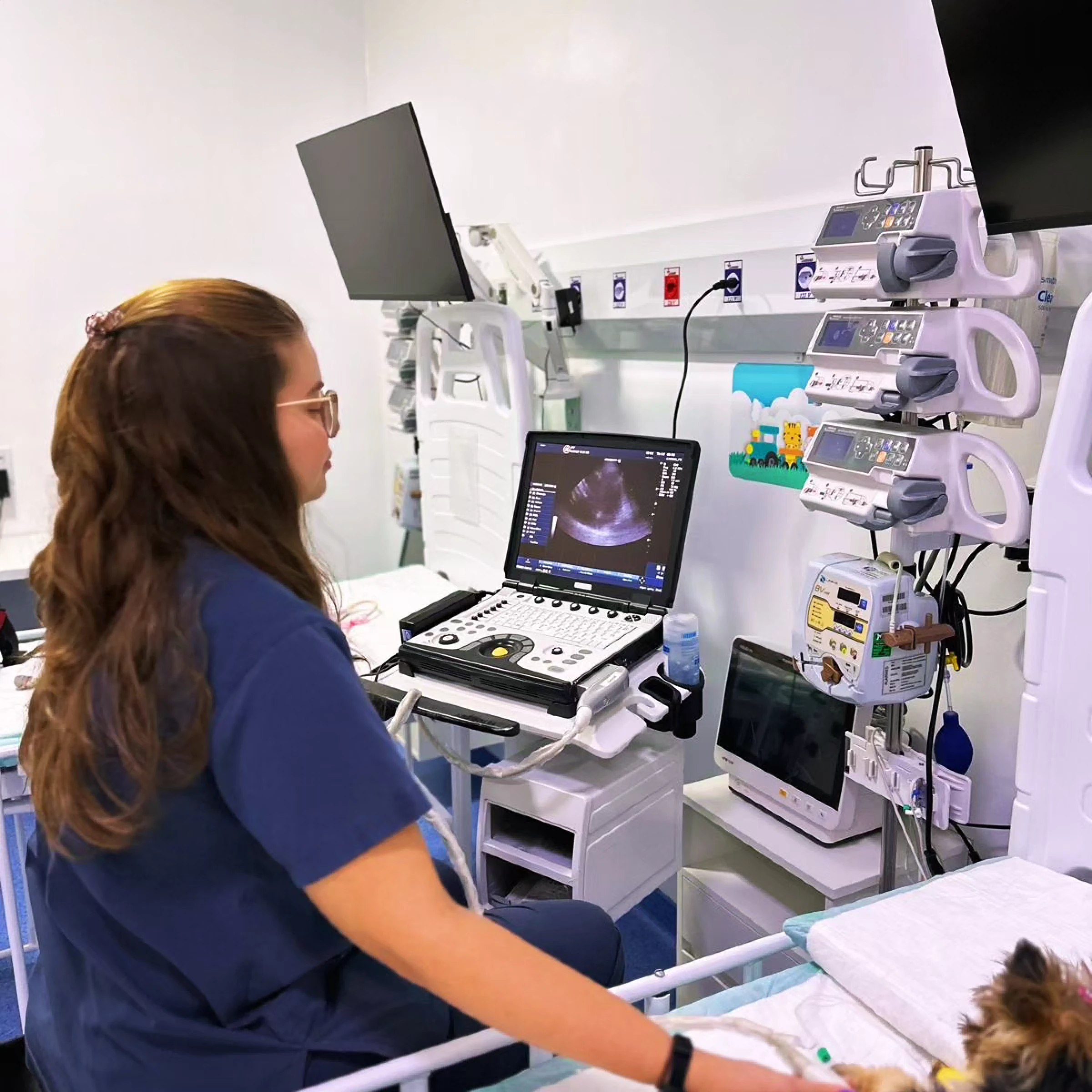 Hospital VFP