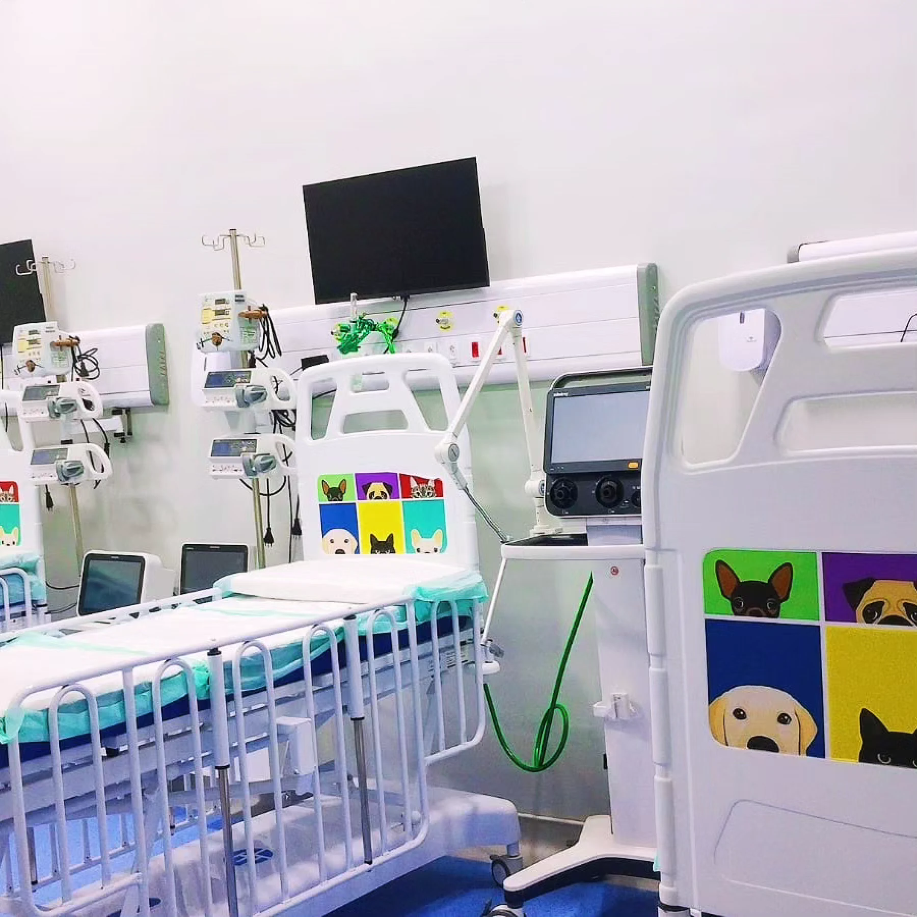 Hospital VFP